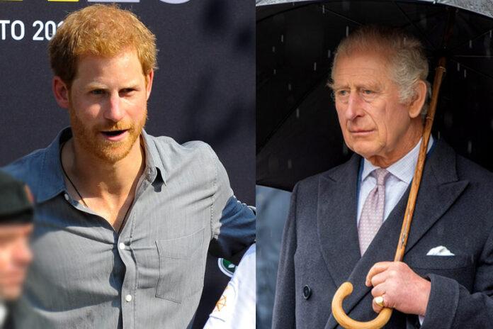 Prince Harry, King Charles, British Royal Family, royalty, father and son, United Kingdom
