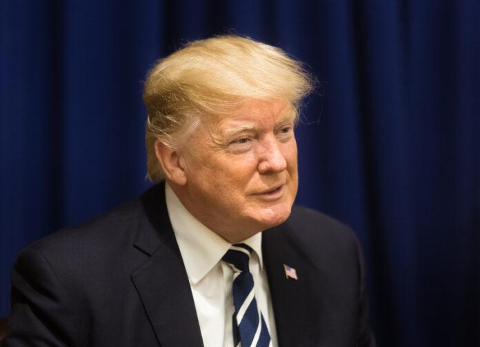 Donald Trump, President, US President, former president, POTUS, American flag pin