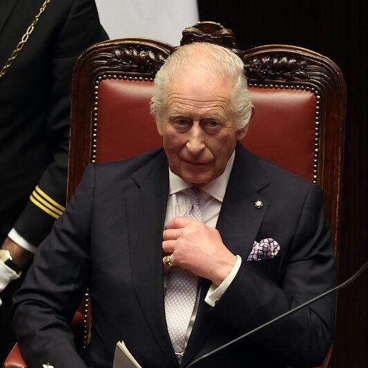 King Charles, British monarchy, royal, ceremonial chair, formal attire, Commonwealth