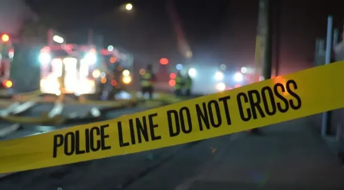 2 Killed, 11 Injured in Halloween Party Shooting | internewsgroup