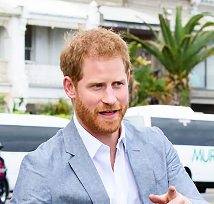 Prince Harry, Duke of Sussex, British Royal Family, royalty, prince