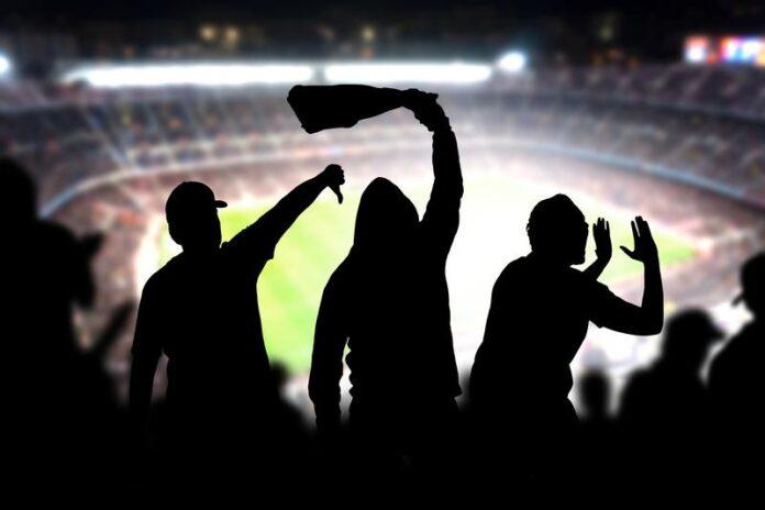 Soccer Stadium Fans Celebrating