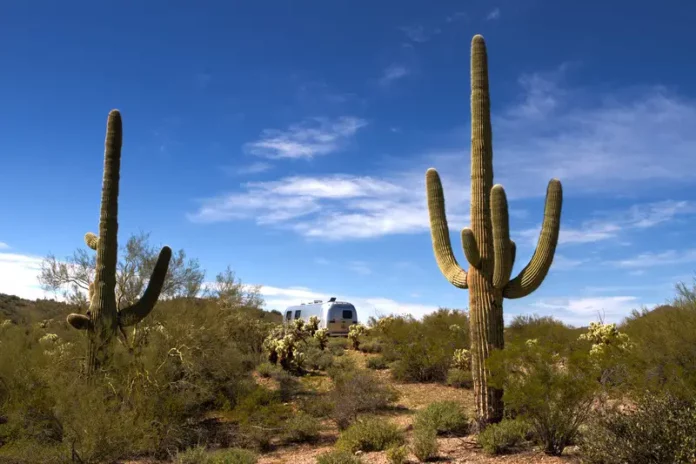 Airstream Trailer Desert Camping