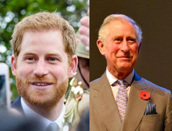 Prince Harry and King Charles